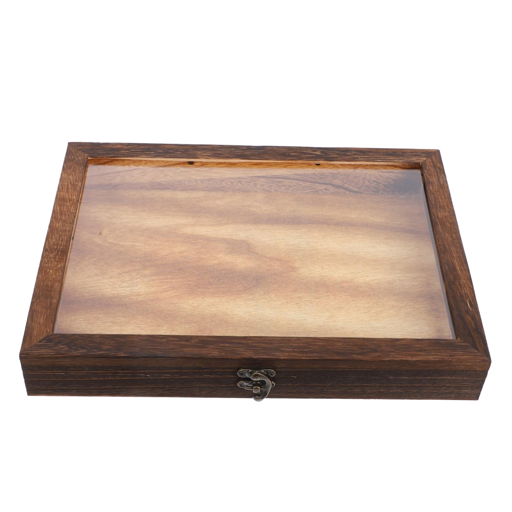 Cabilock Wooden Display Case for Insect Specimen Butterfly Enclosure Flower Specimen Storage Lock Secure Random Style