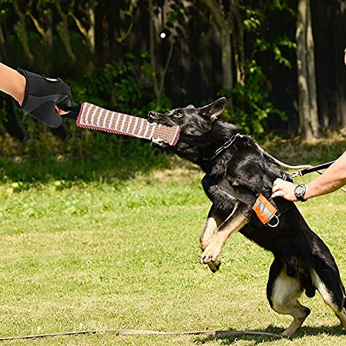 Zerrspielzeug Beißwurst für Hunde - Jute Beißwurst Hund Training mit 2 Griff, Kauspielzeug Robust und Unzerstörbar, Hunde Training Zubehör