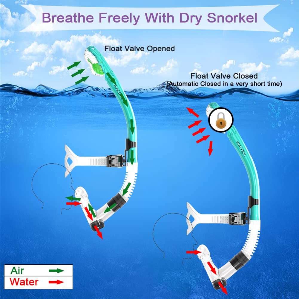 WACOOL Correa de entrenamiento para la cabeza, tubo de esnórquel con parte superior seca, boquilla cómoda, válvula de purga unidireccional para piscina, aguas abiertas, buceo, natación, natación,