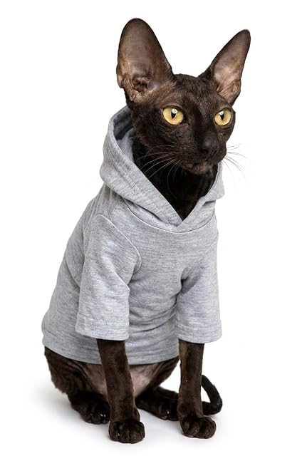 Foto 2 de 4 de Kotomoda Ropa para Gatos Capucha En Casa (M)
