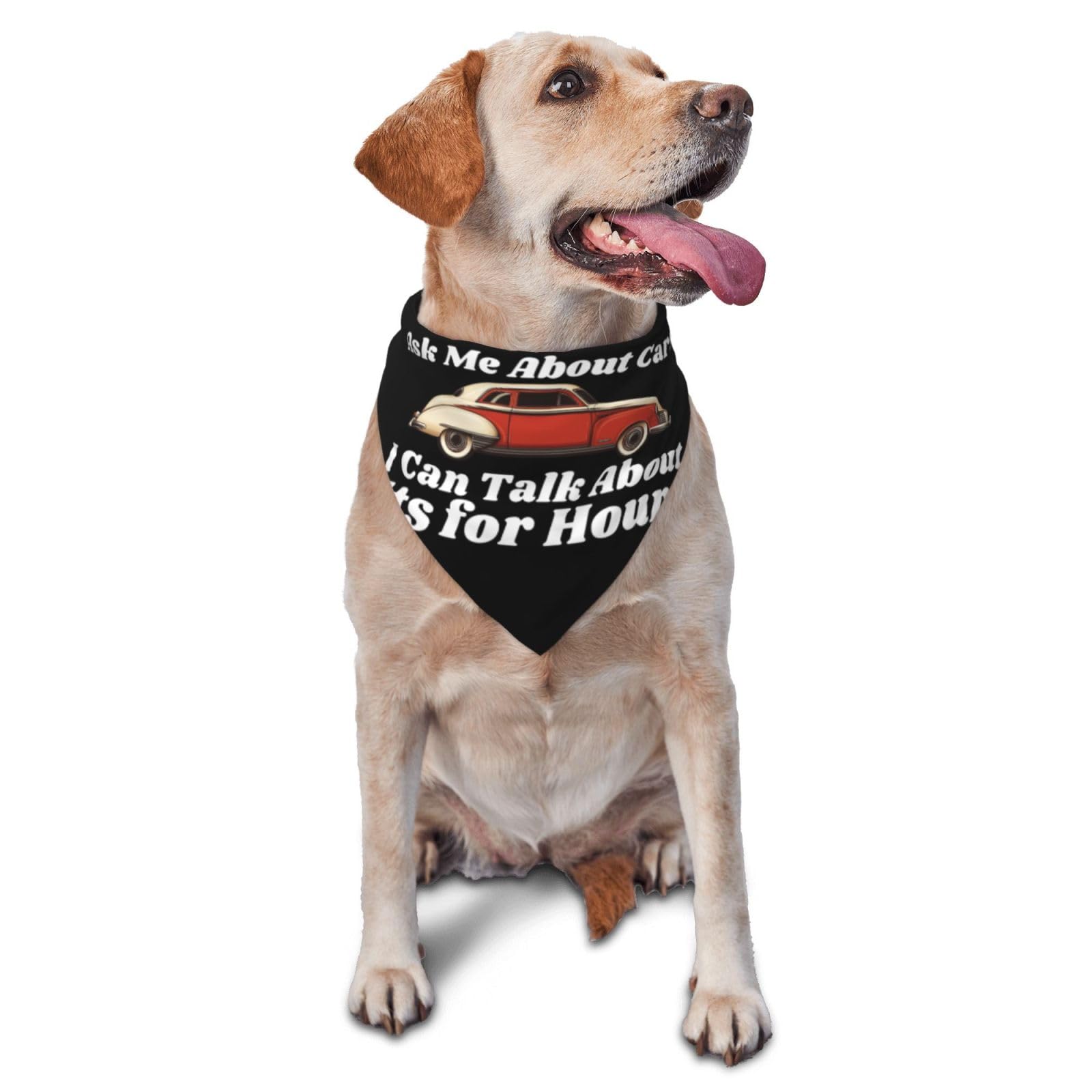 Ask Me About Cars I Can Talk About Its for Hours Dog Scarf Pet Bandana Cat Pet Bibs
