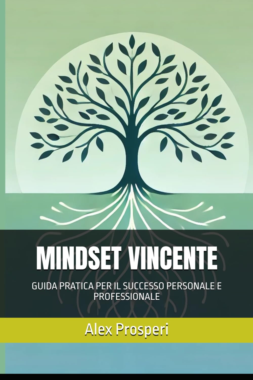 MINDSET VINCENTE: GUIDA PRATICA PER IL SUCCESSO PERSONALE E PROFESSIONALE