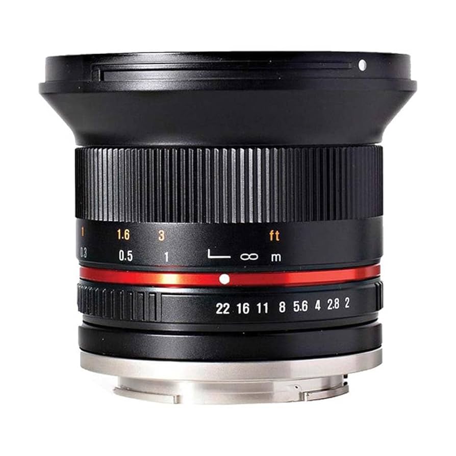 Rokinon 12mm F2.0 NCS CS Ultra Wide Angle Lens Sony E-Mount (NEX) (Black) (RK12M-E)並行輸入 Amazon.com : Rokinon 12mm f/2.0 CS Lens for Sony E : Electronics