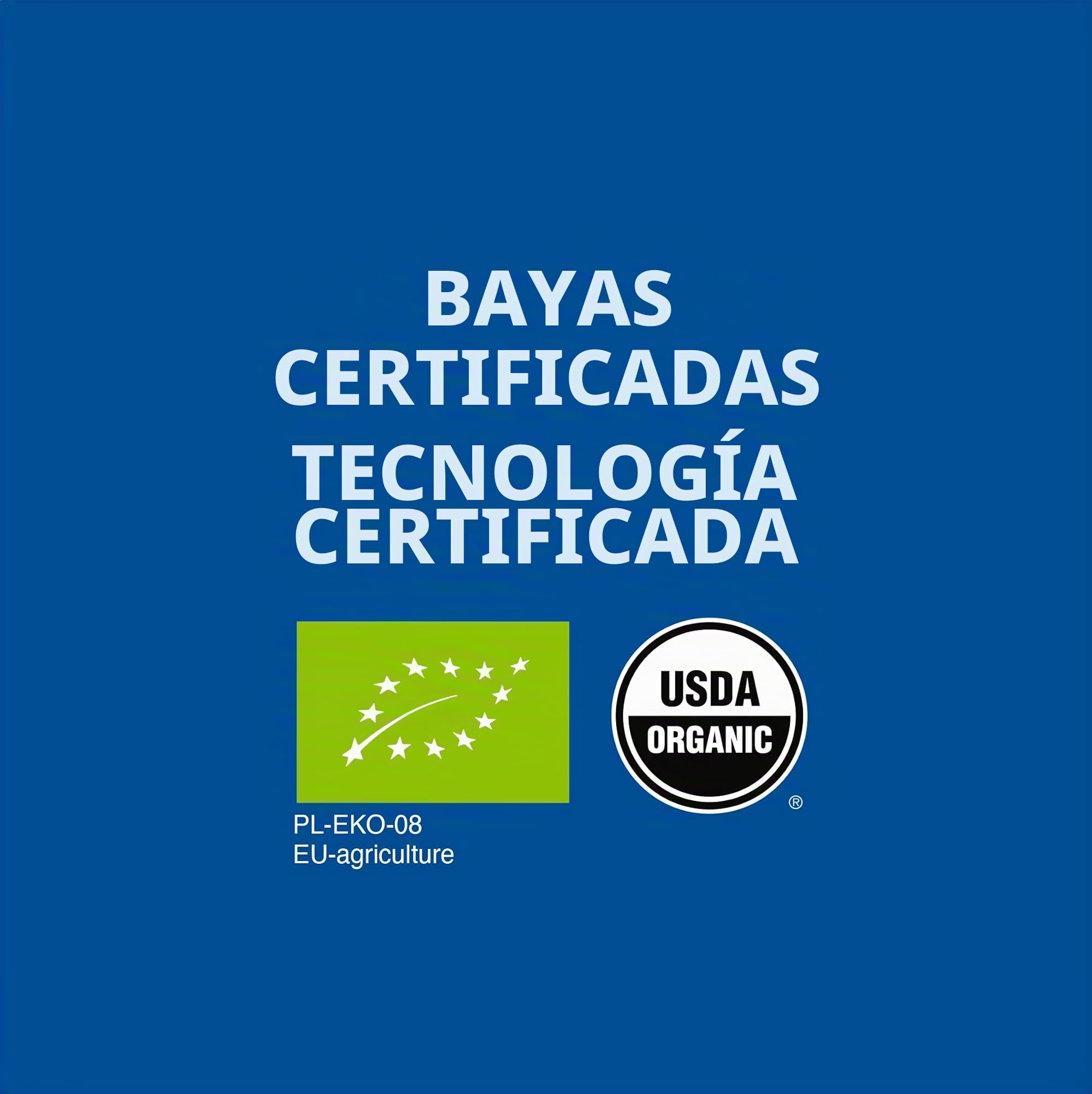 Polvo de arándanos silvestres orgánicos nórdicos - Polvo de arándanos liofilizados perfecto para batidos, desayunos, yogures y más, 110g