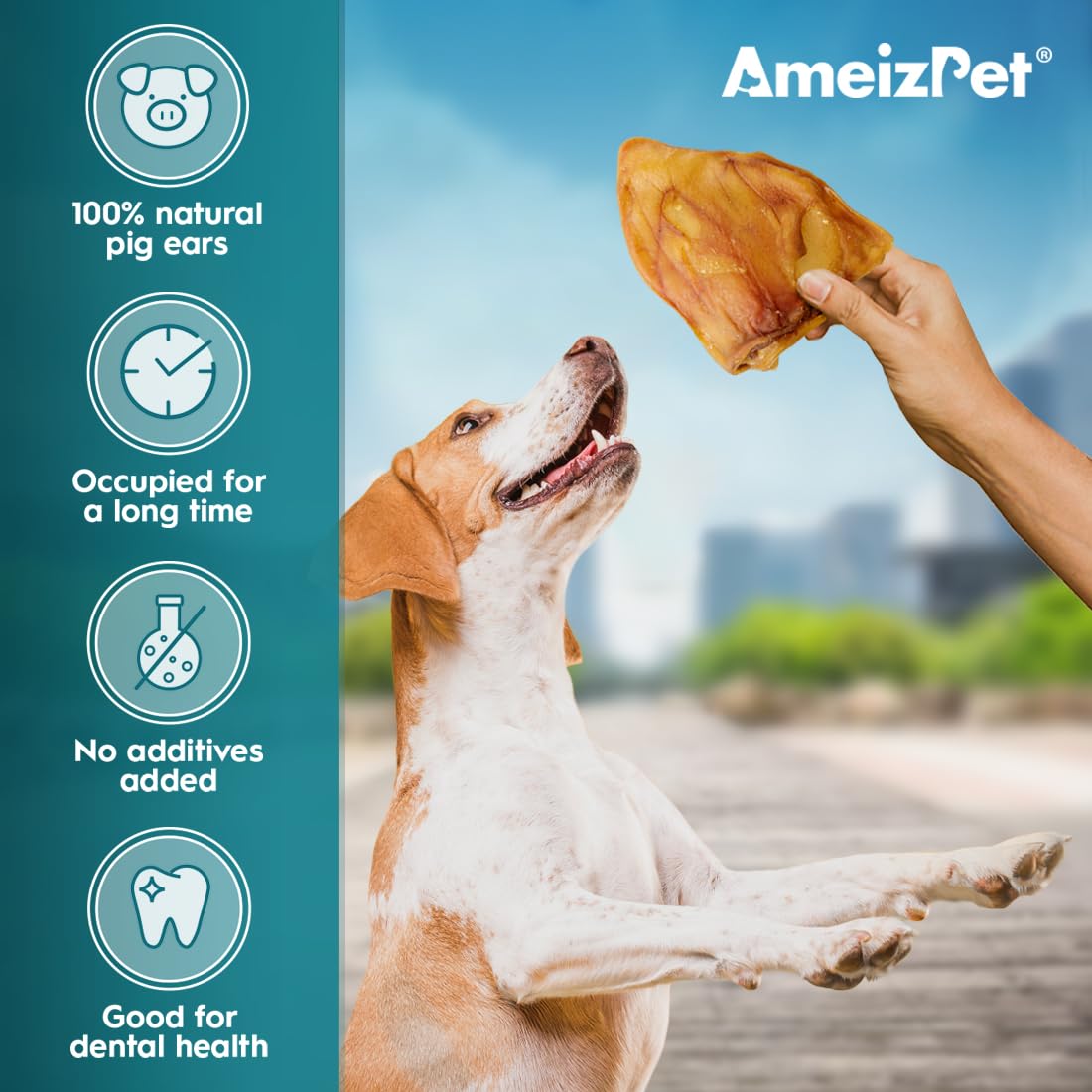 AmeizPet Oreille De Porc pour Chien, 100% Naturel Oreilles De Cochon, Résistant Mastication Friandise Chien, 20 Pièces