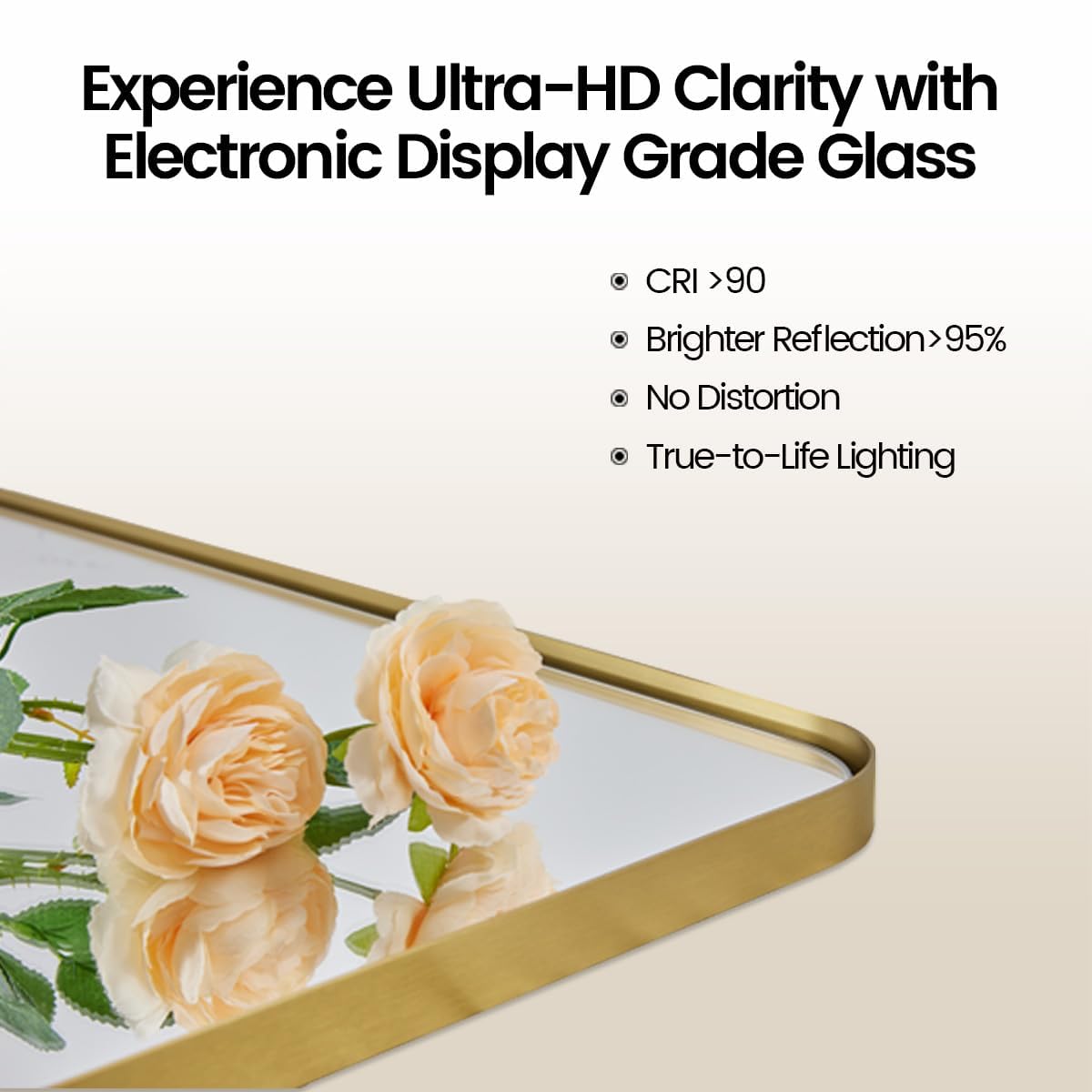 https://m.media-amazon.com/images/I/61EGsVp2-7L.jpg