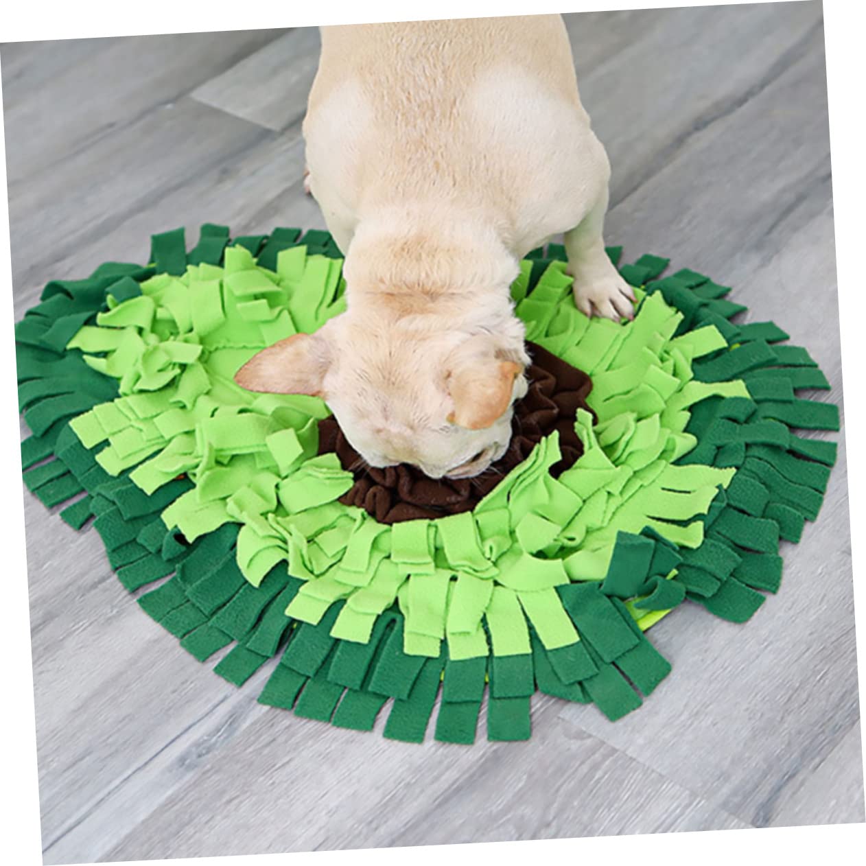 Tappetino per Annusamento per Cane e Pet, Alimentazione Lenta, 1 Pz