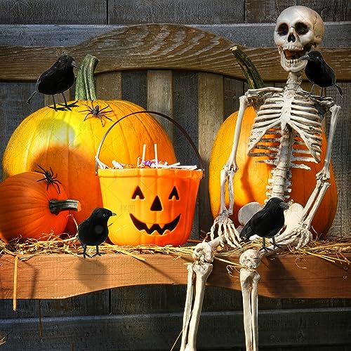 6 Pack Halloween Crow Decorations - Realistic Handmade Crow Black Feathered Crow, Halloween Crows and Ravens Decor, Scary Black Ravens Birds for Outdoors and Indoors Halloween Decor3
