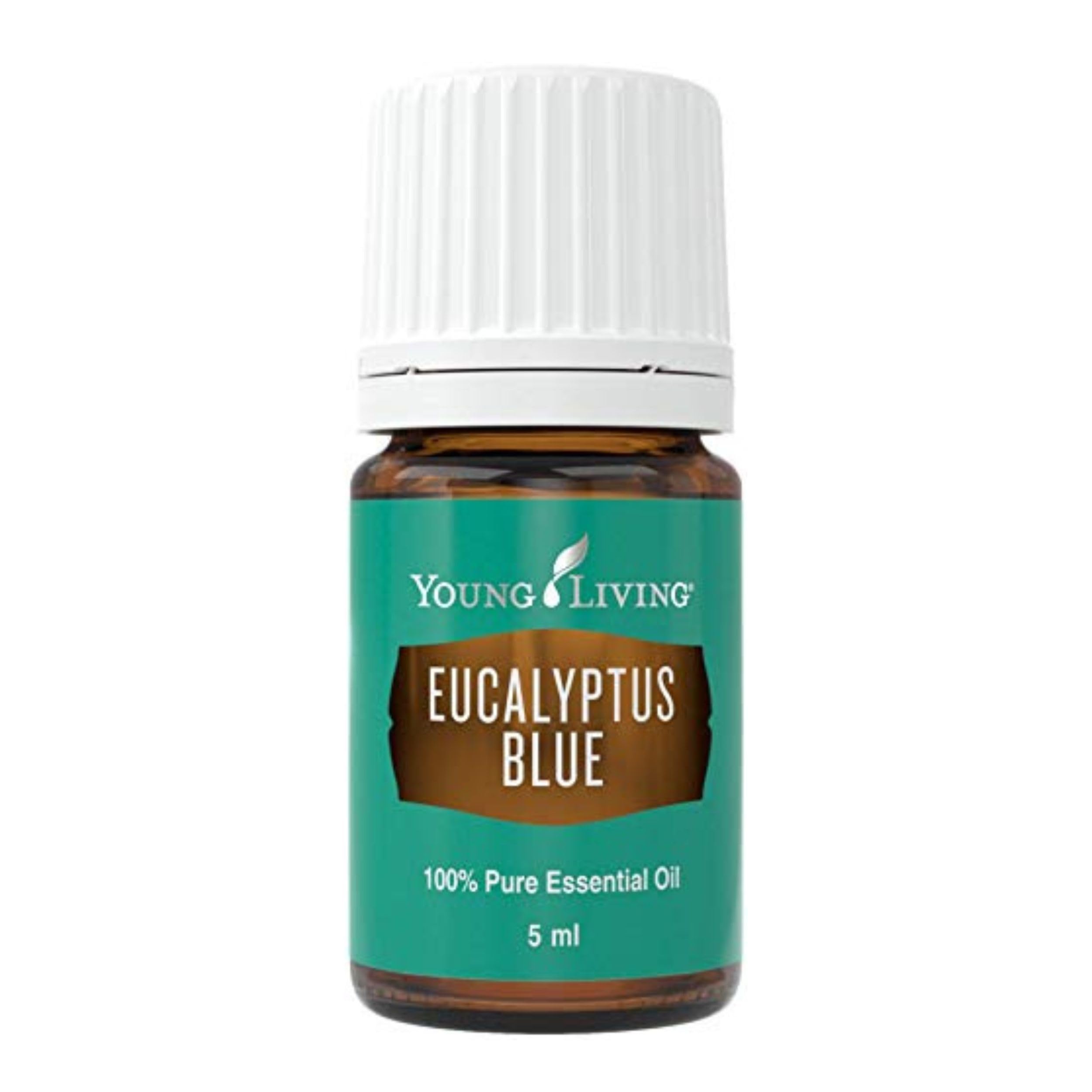Amazon.com: Young Living Eucalyptus Blue Essential Oil | 5 ml