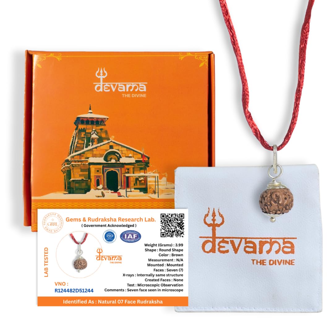 devama the divine Devama The Divine® Natural 7 Mukhi Rudraksha | Certified Saat Mukhi Rudraksh Bead | Energized for Wealth, Health & Saturn Balance | Goddess Lakshmi Blessings | Vedic Astrology & Numerology Approved-picture-8