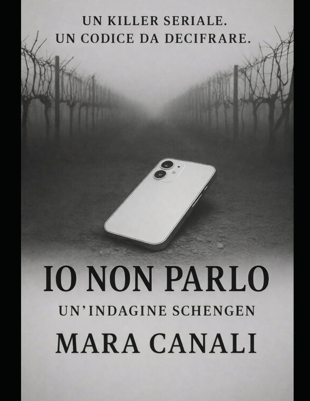 Io non parlo: Il secondo caso Schengen (Squadra Schengen – Le indagini)