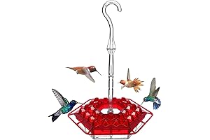 Sherem Keilani Hummingbird Feeder, The Perfect Oasis for Your Colorful Companions