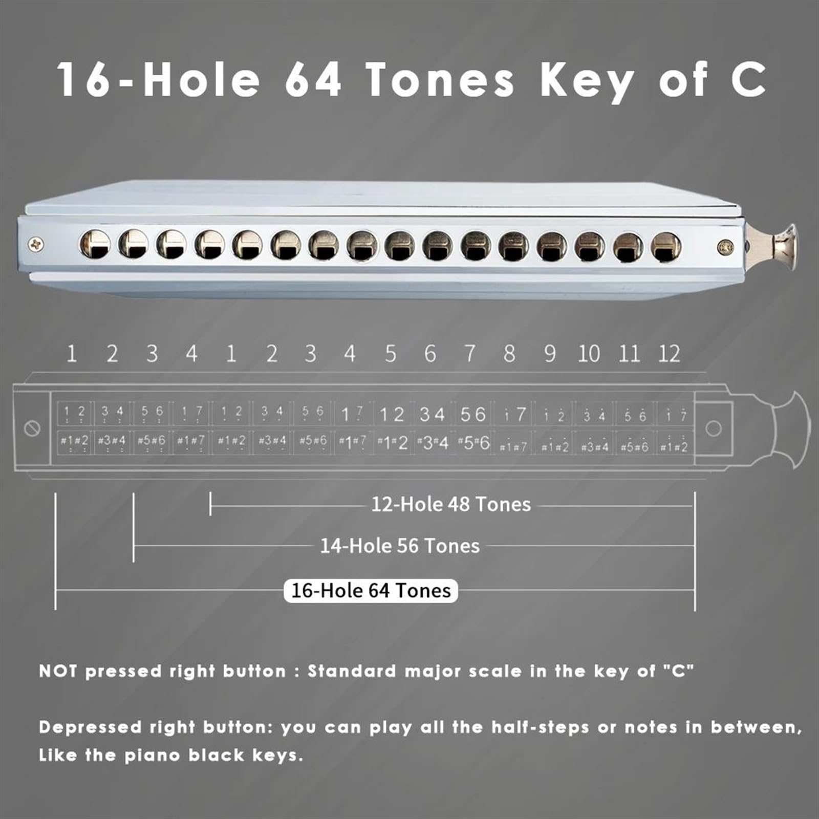 16-gaats chromatisch mondharmonica-instrument rond mondstuk Klassiek zwart dikke zitplaat Mondharmonica Geschikt Voor Beginners