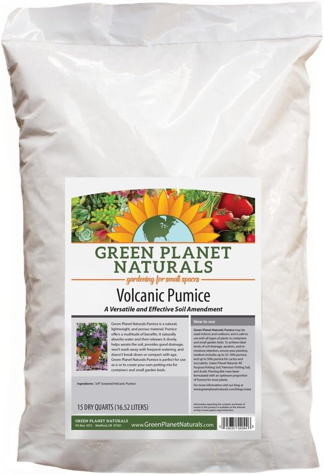 Volcanic Pumice Rock -15 Dry Quarts!