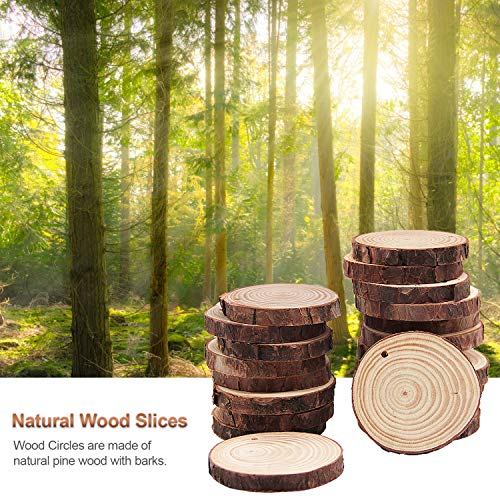 Atdawn Natural Wood Slices With Holes, 30 Pcs 2.8-3.1 Inches Unfinished Wooden Circles, Craft Wood Kit, Christmas Ornaments Diy Crafts #TOP3
