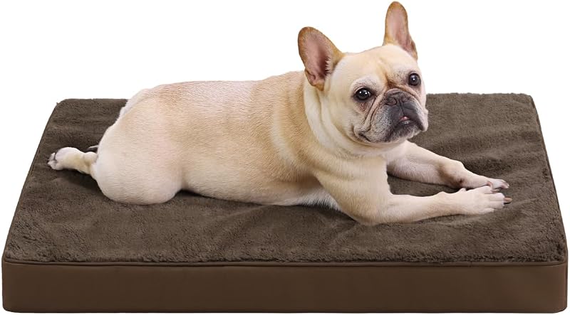 Cama ortopédica para cães médios KSIIA com espuma em formato de caixa de ovos, capa impermeável, marrom, 73,66 x 45,72 x 7,62 cm