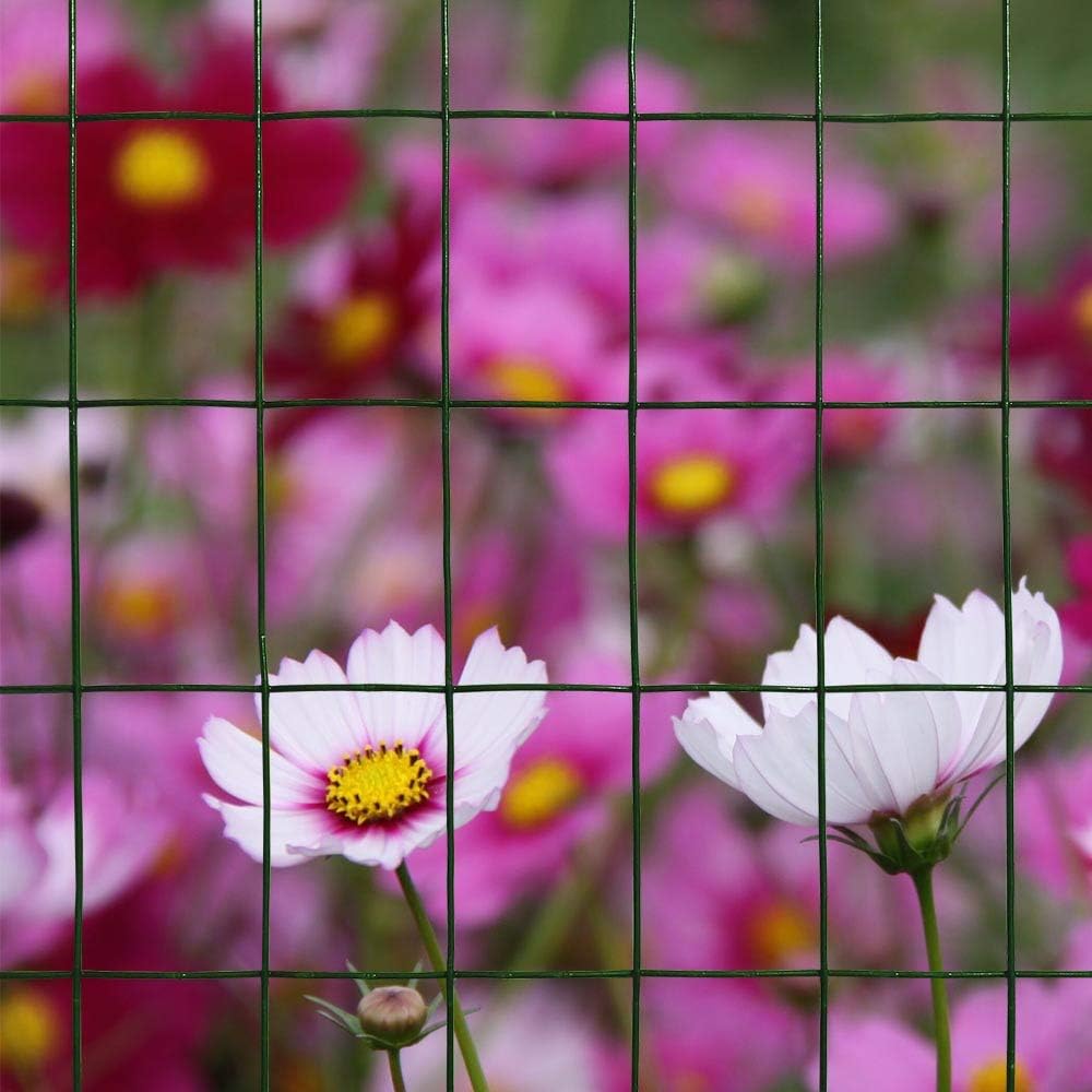 Green PVC Coated Welded Wire Mesh Garden Economy Fence 24 Inch x 50 Foot-3 Inch x 2 Inch 16GA