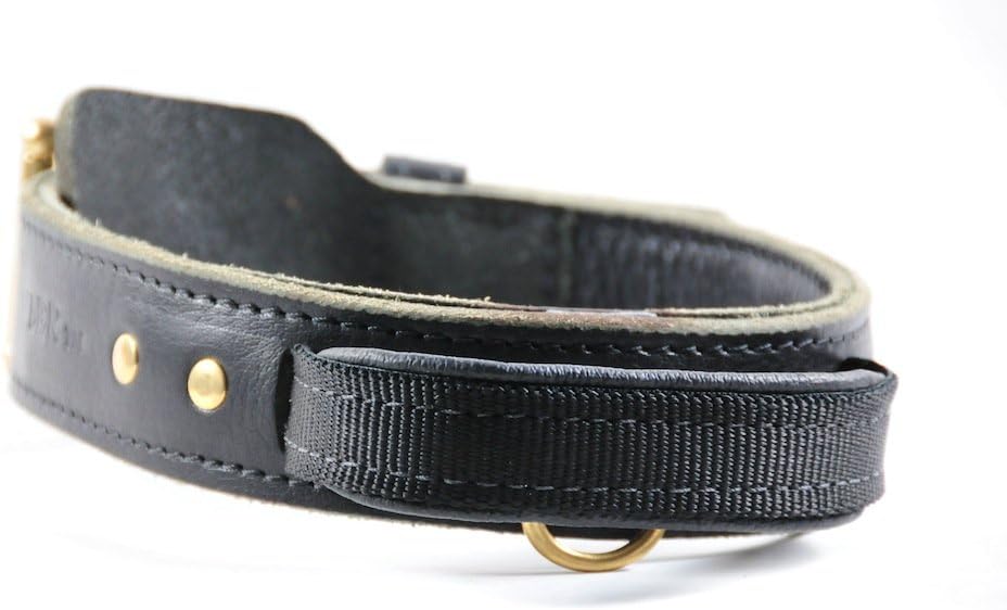 Dean and Tyler Simplicity+ Dog Collar - Solid Brass Hardware - Black - Size 28" x 1 3/4" Width. Fits Neck Size 26 Inches to 30 Inches.