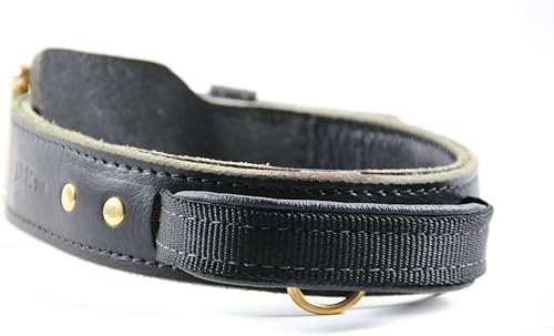 Miniatura 3 de Dean y Tyler  "Simplicity +" collar de perro  latón macizo Hardware  Negro  Tamaño 28" X 1 34" de ancho. Tamaño de cuello 26 inches a 30 inches.