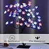 Product Photo 3