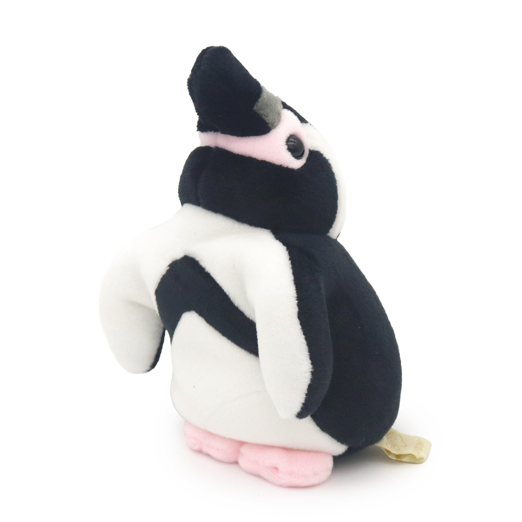 Amazon.co.jp: テイクオフ ぽけぷに フンボルトペンギン ふしぎな