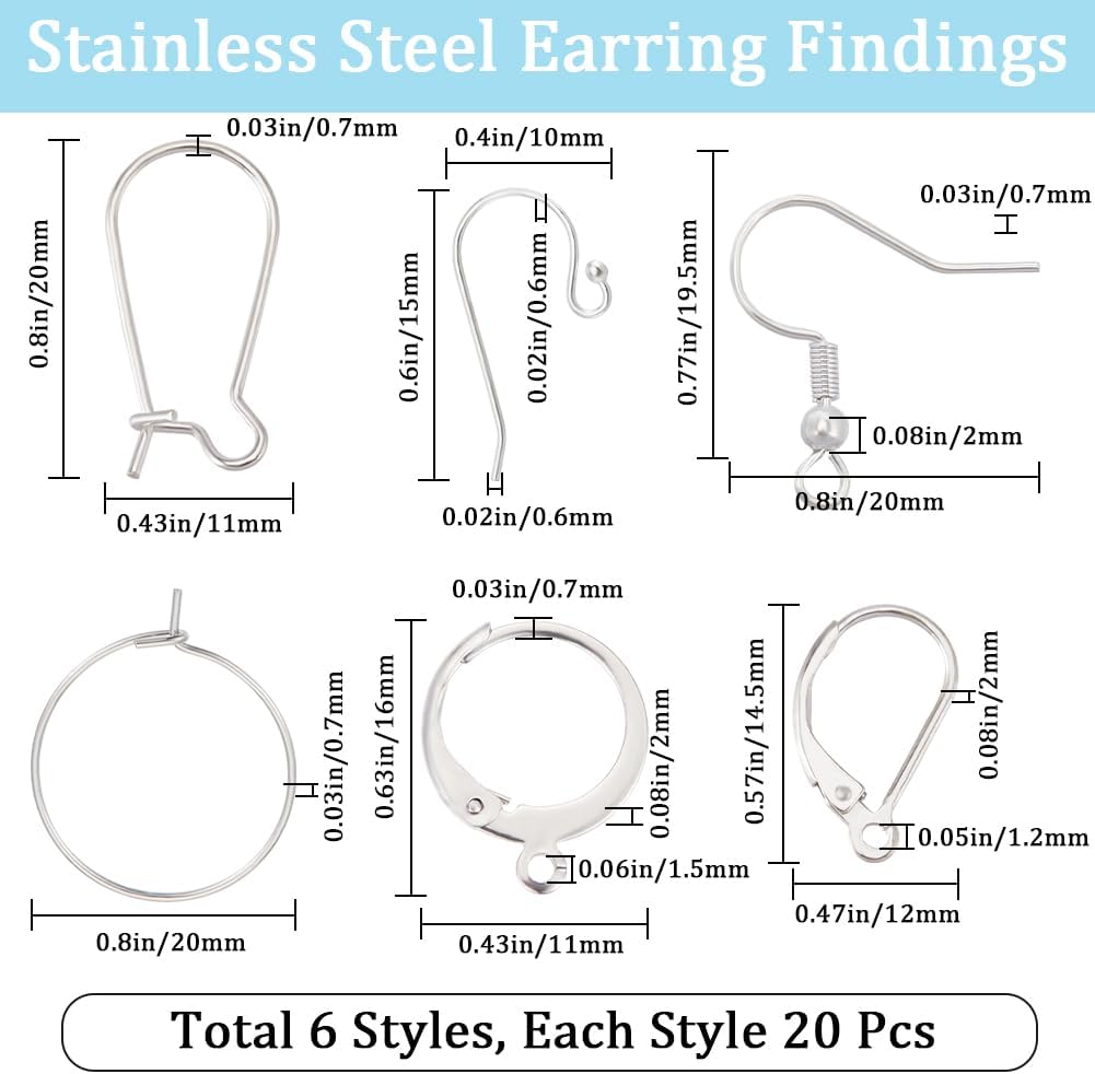 Beebeecraft 1 Box 120Pcs 6 Styles 304 & 201 & 316 Surgical Stainless Steel French Earring Hooks Fish Ball End Kidney Ear Wires Leverback Earring Findings for Jewellery Making