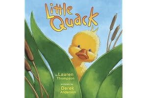 Little Quack: A Delightful Board Book for Young Learners to Count and Quack