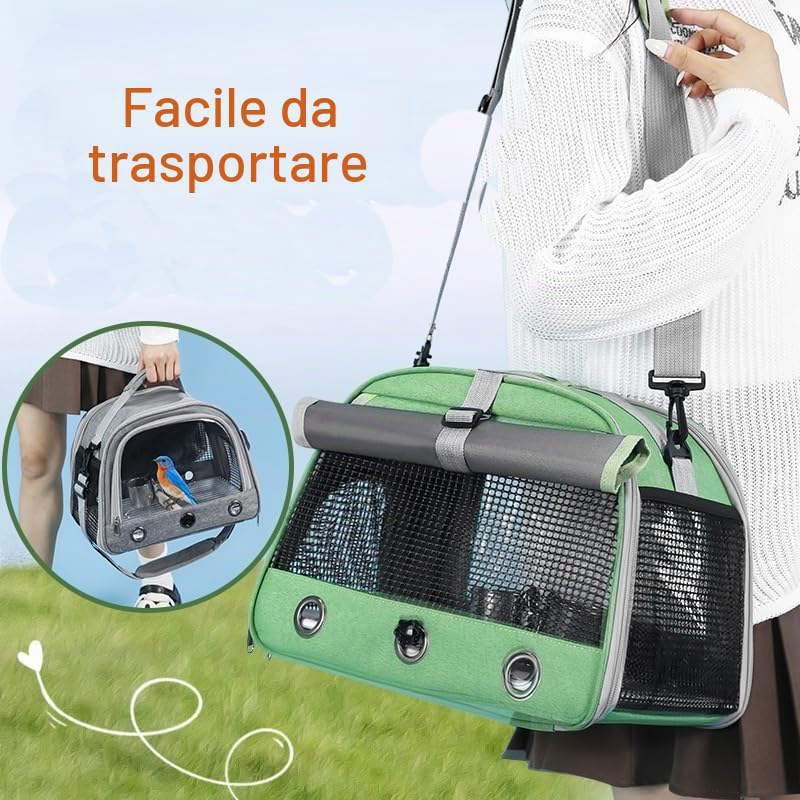 Trasportino portatile per uccelli, verde, con trespolo e finestra laterale, per parrocchetti e piccoli pappagalli