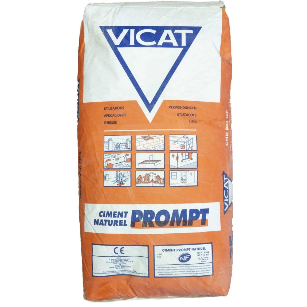 Vicat Cemento Rapido Francese Naturale Prompt Riparazioni Sigillature Ancoraggi Calcestruzzo Fessure Edilizia 25 kg
