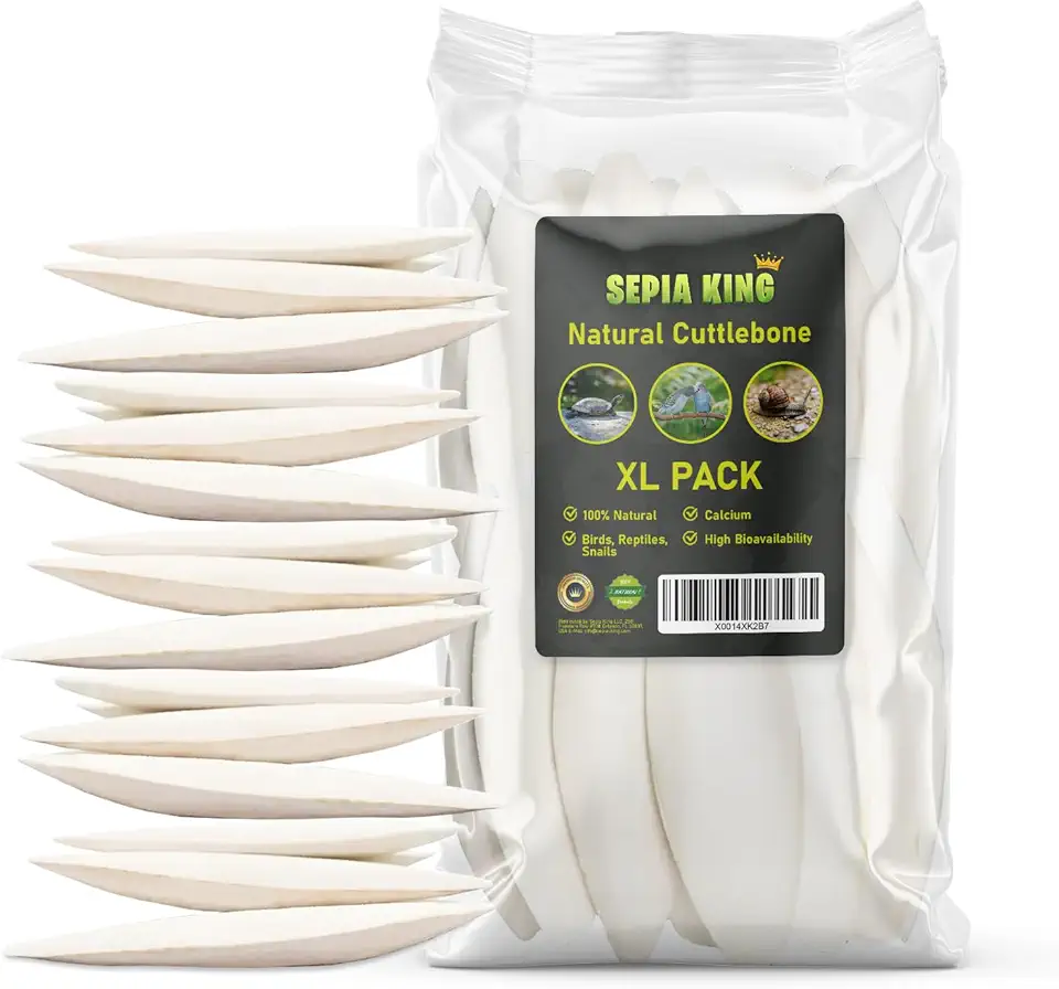 Large - Cuttlebone for Birds, Tortoises, Snails, Reptiles 5.5-7" - 8.8oz - 100% Natural Calcium Supplement, Food and Toys for Parakeets, Turtles