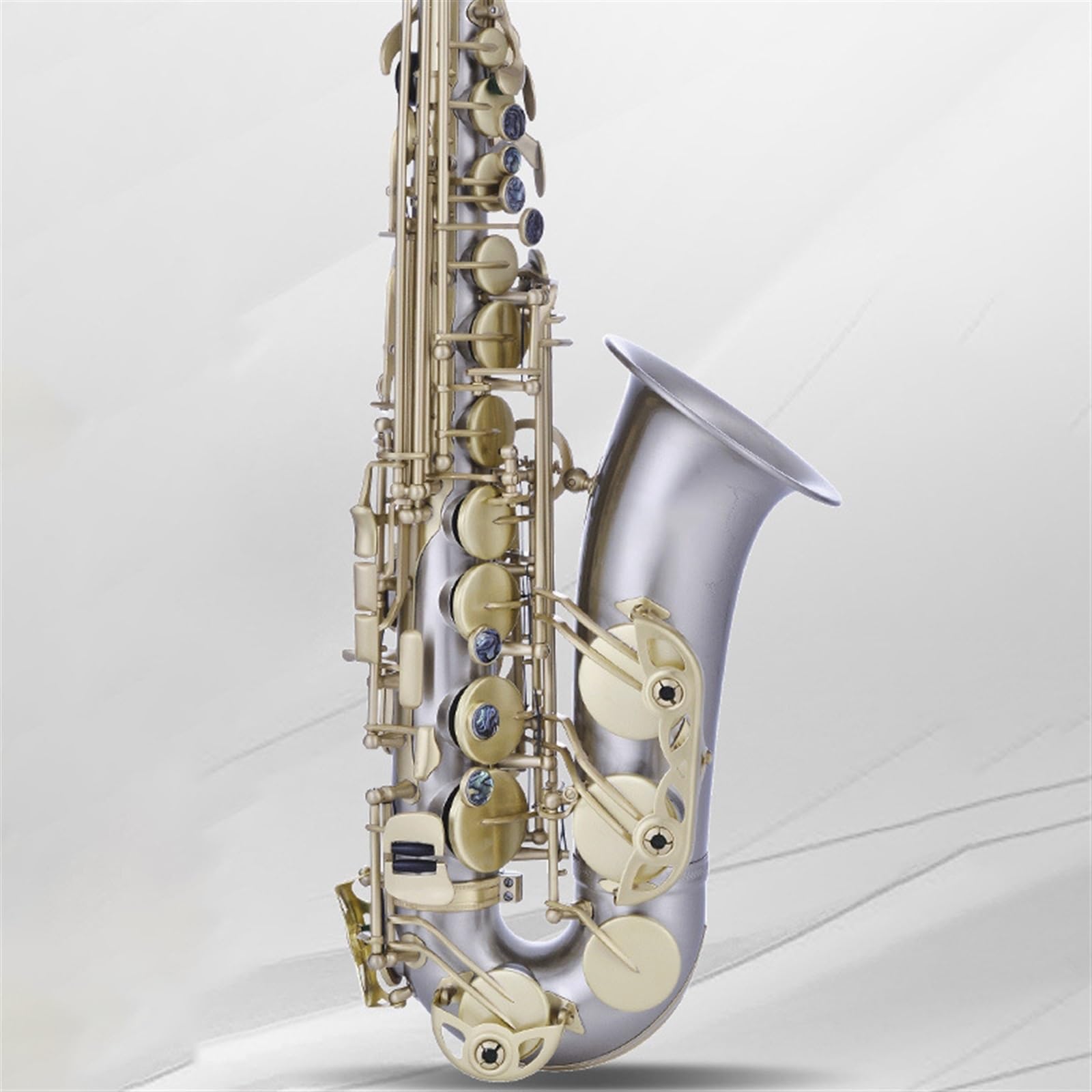 Saxofón Alto En Mi Bemol Para Principiantes En Instrumentos De Viento. Examen De Interpretación Y Calificación Profesional