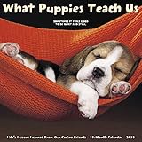 What Puppies Teach Us 2018 Calendar