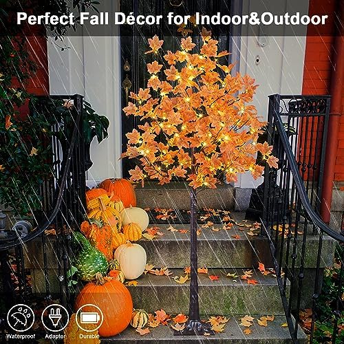 A lighted maple tree enhancing an indoor living room with cozy autumn decor.