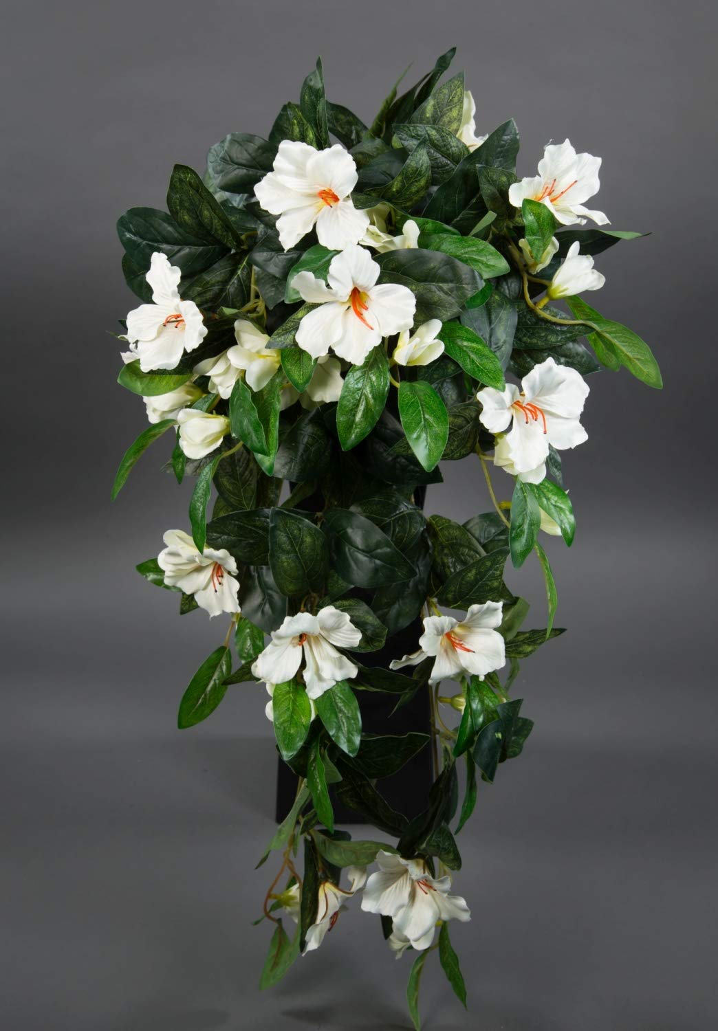 Amazon.de: Seidenblumen Ro Hibiskusranke 70cm Creme ZF Kunstpflanzen  Kunstblumen knstliche Pflanzen knstlicher Hibiskus Eibis