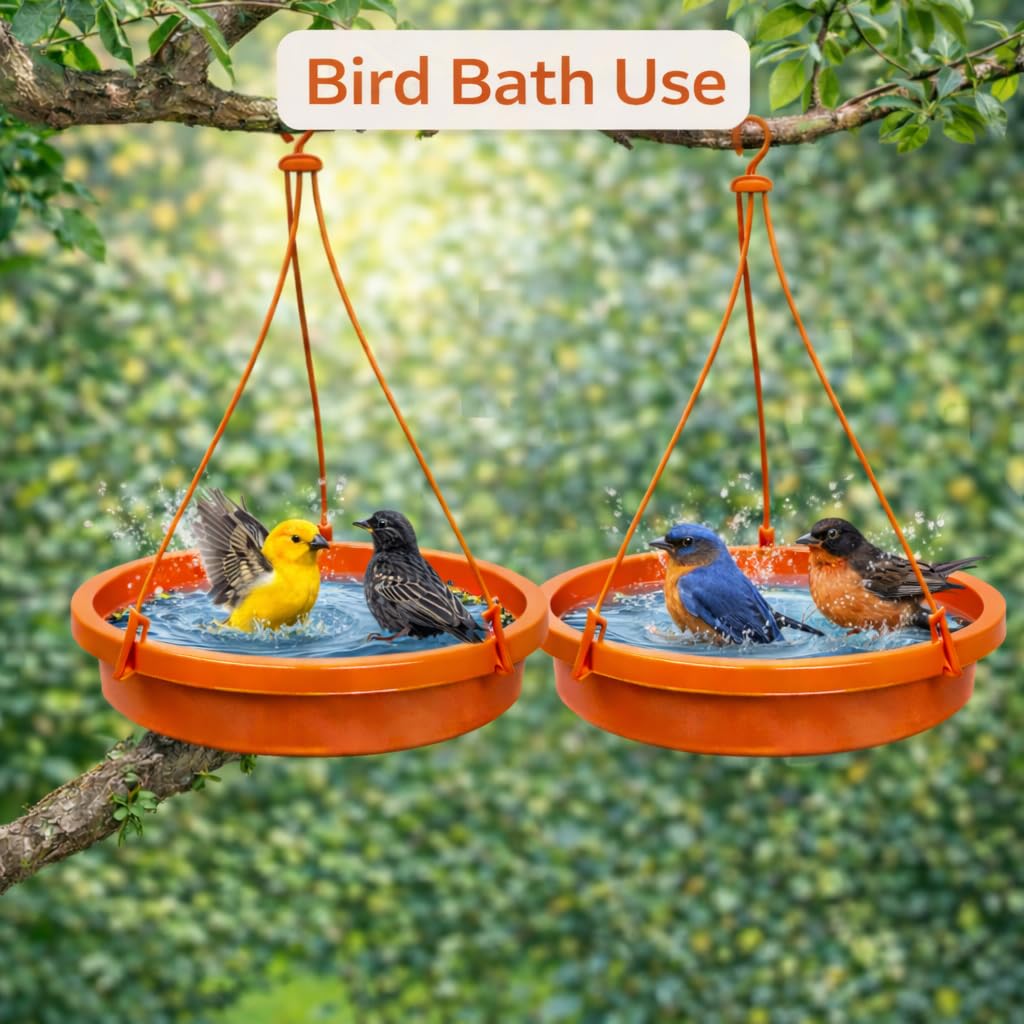 2 Bird Feeders & Bath - Balcony Garden -2
