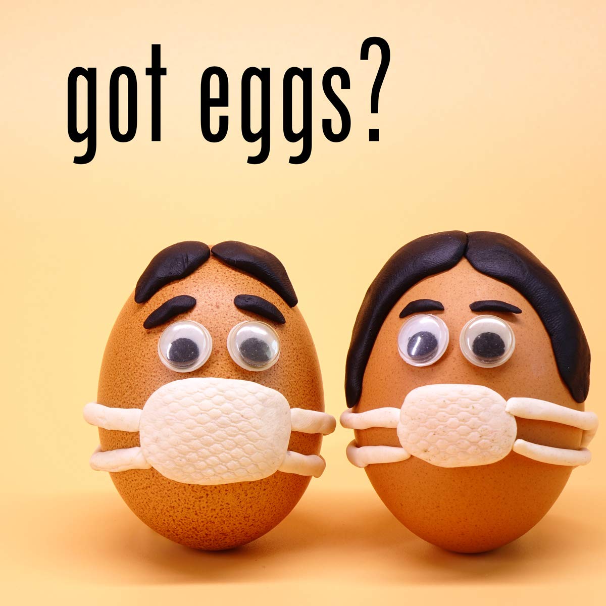 AAA Grade Whole Egg Powder Gluten-Free OU Kosher Certified (Pasteurized, Made in USA, 1 Ingredient no additives, Produced from the Freshest of Eggs) - 400g/14oz