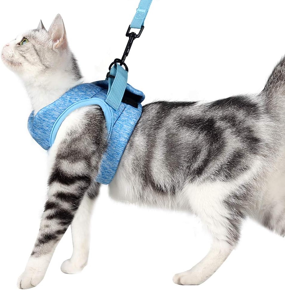 HEYWEANCat Harness and Leash - Ultra Light Escape Proof Kitten Collar Cat Walking Jacket with Running Cushioning Soft and Comfortable Suitable for Puppies Rabbits