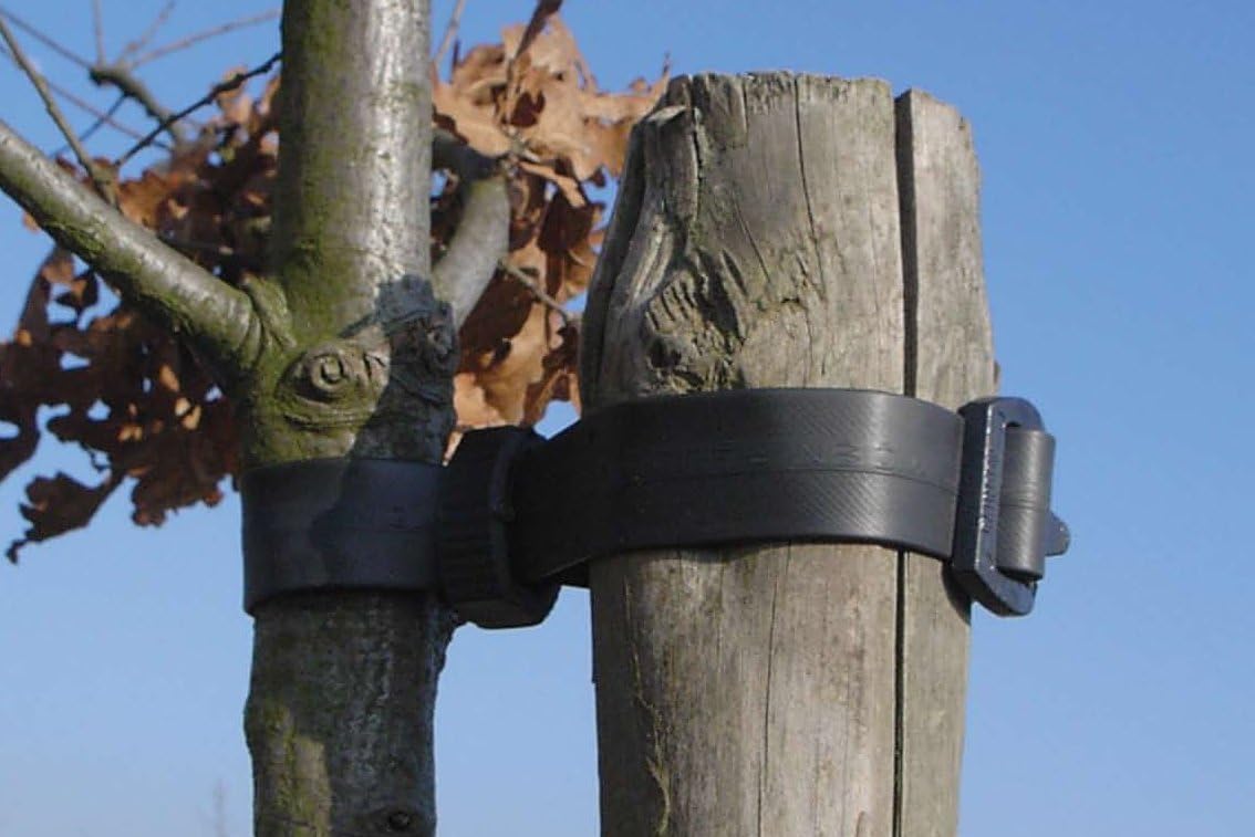 Garden Tree Buckle Ties - 60cm - Pack of 50 (a321)