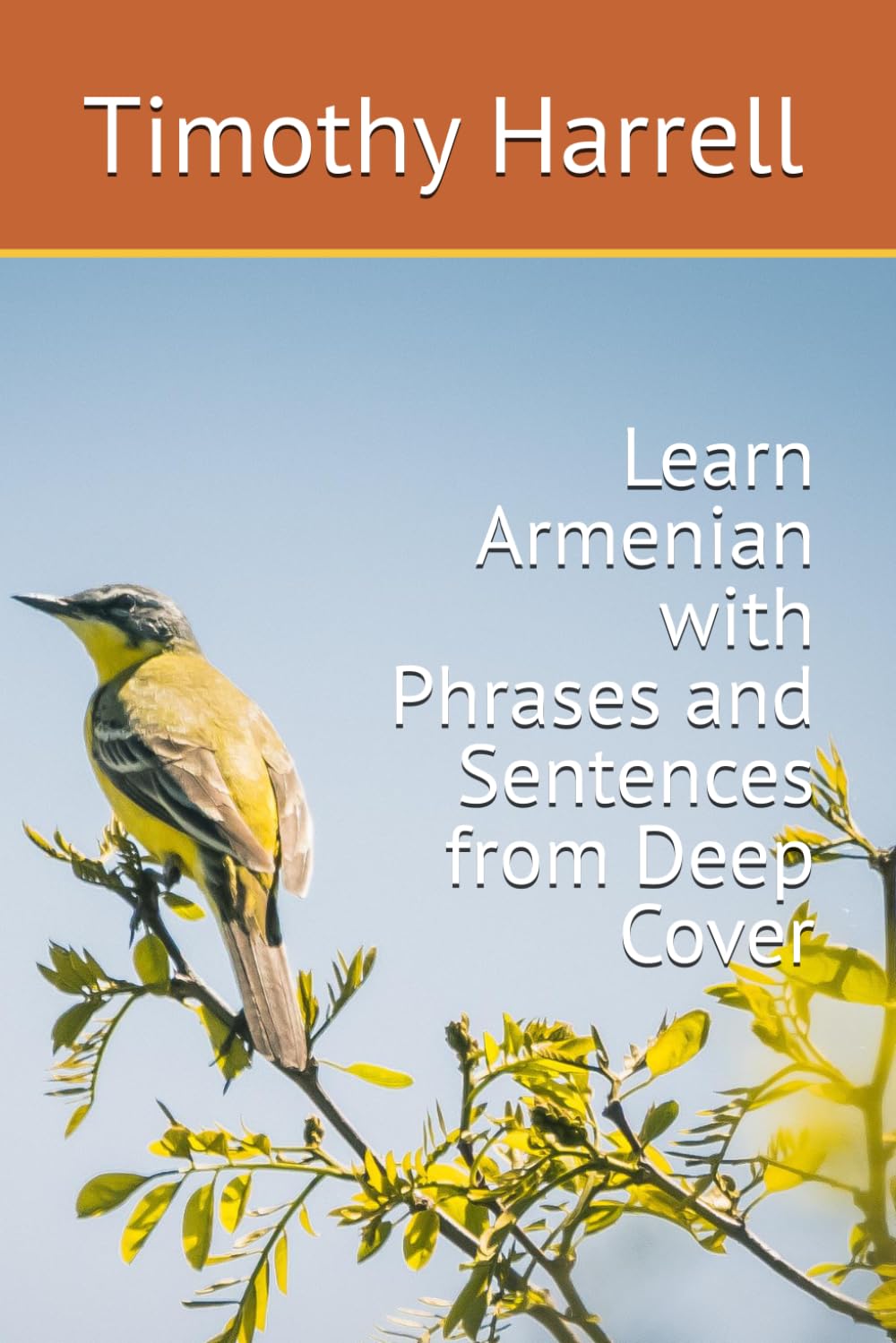 Learn Armenian with Phrases and Sentences from Deep Cover