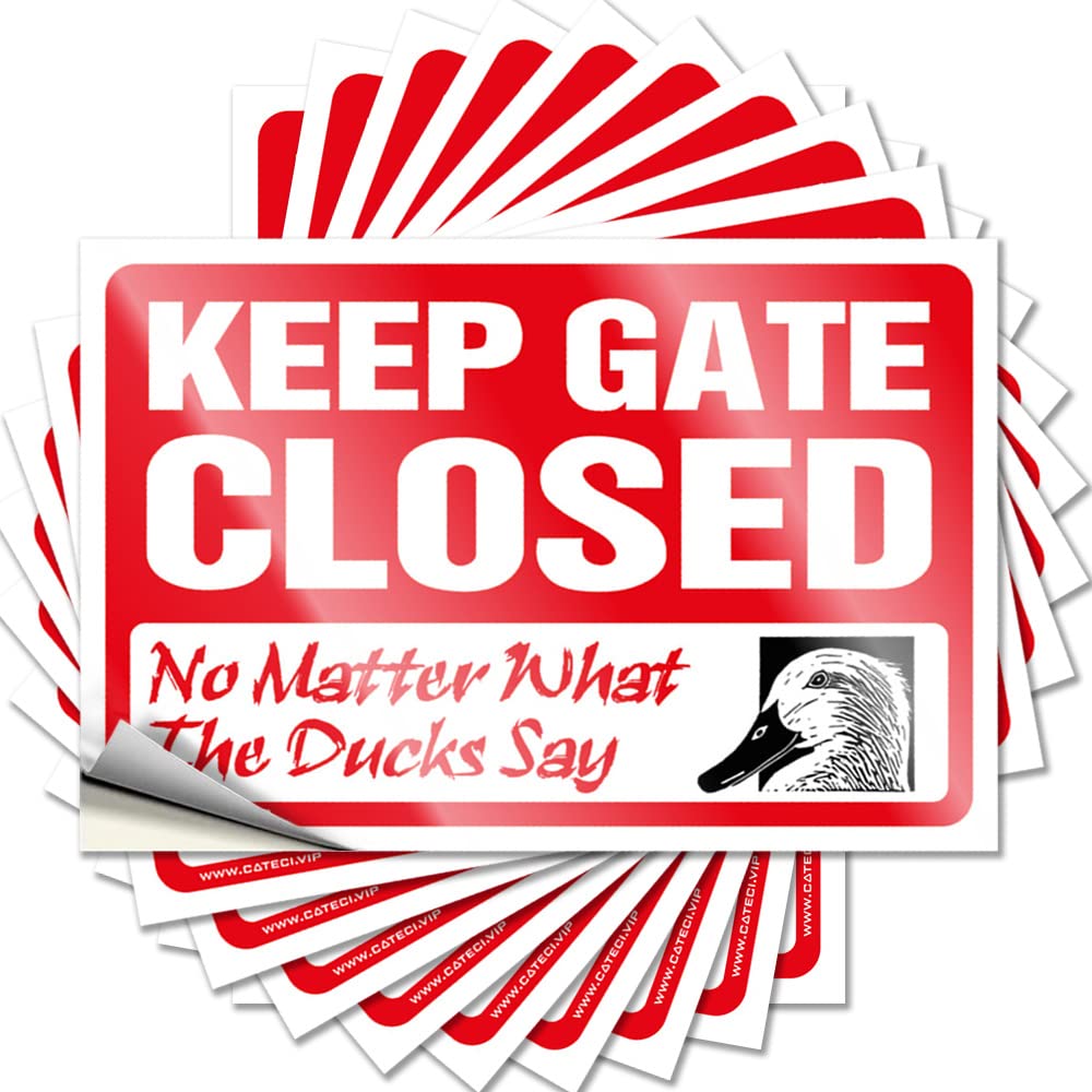 Fzfn Men's Colour Tattoo Room Decor Peel And Stick - Keep Gate Closed No Matter What The Duck Say Wall Plush Waterproof Vinyl For Summer(6X9cm)