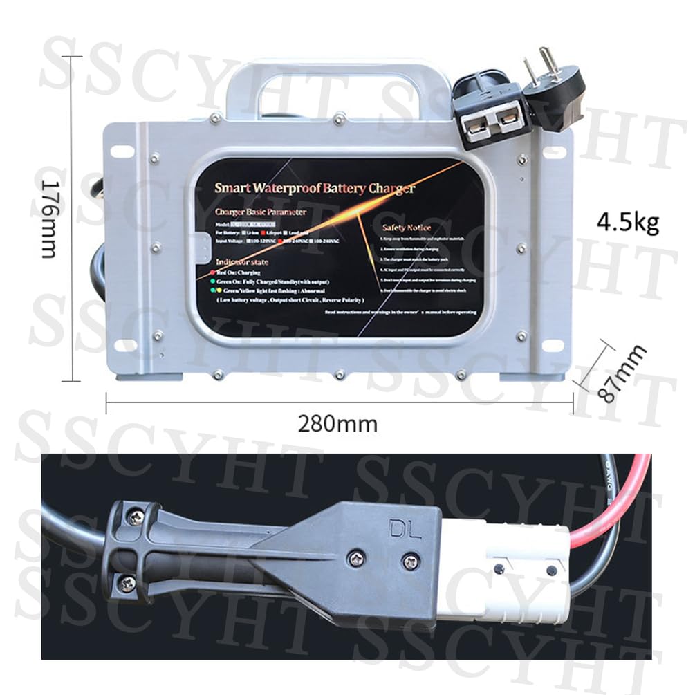 Batteria accumulo energia fotovoltaica 24V 48V 100Ah 150Ah 200Ah 300Ah 400Ah condizionatore d'Aria parcheggio Batteria al Litio Ferro fosfato 25,6V 51,2V per Motore fuoribordo
