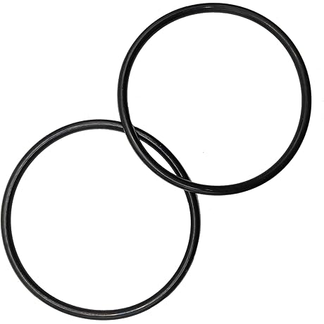 Rainbow 320 O-Ring Lid Replacement: O-283 for Pentair Pool and Spa Chlorinator