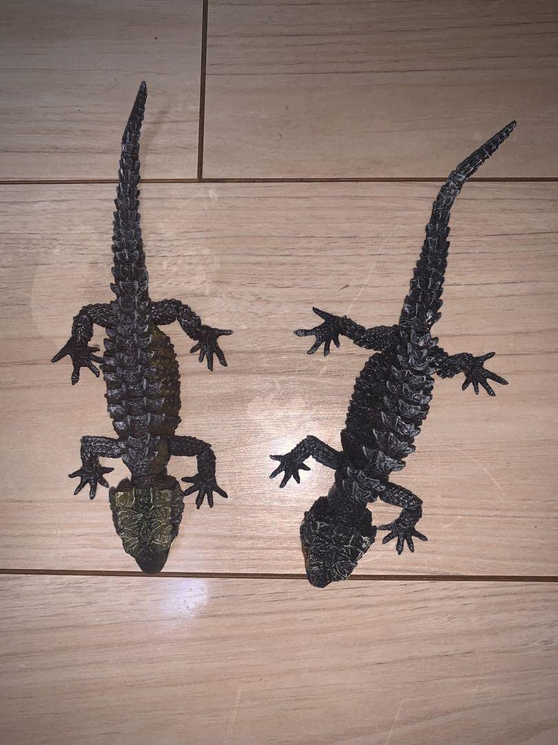 Amazon | いきもの大図鑑 アカメカブトトカゲ ガチャ ガチャポン