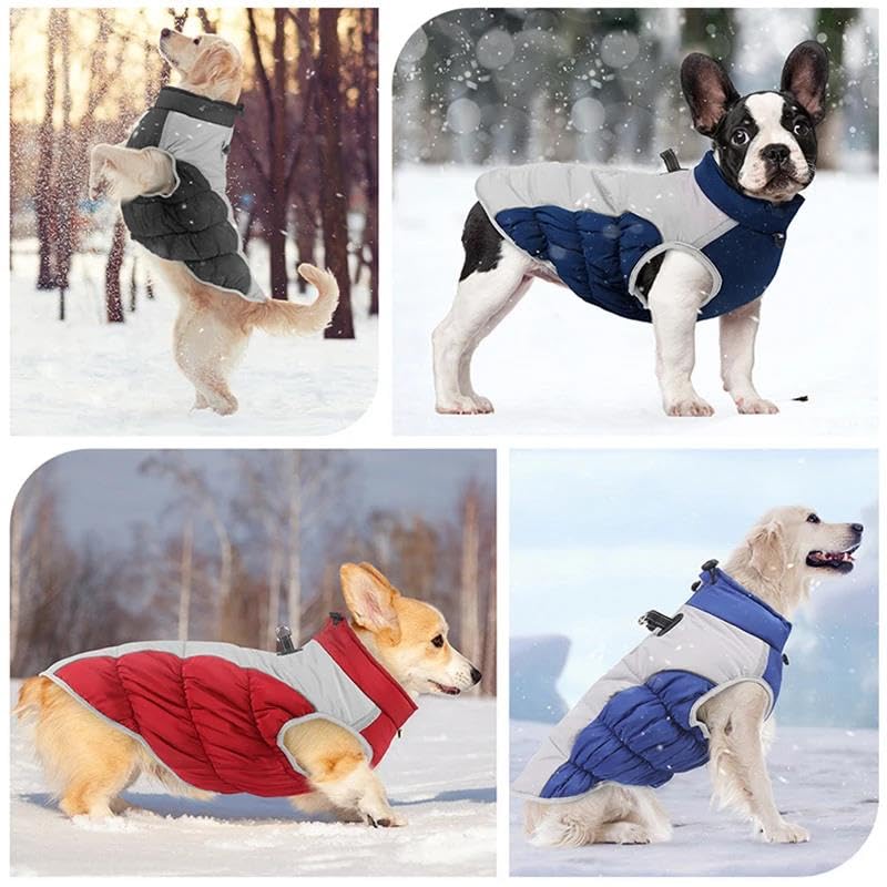 Outdoor Winddicht En Waterdicht Groot Hondenjack Zacht En Comfortabel Herfst- En Winterhondenjack Franse Bulldog Labrador Duitse Herderjas Vest,Marineblauw,XL