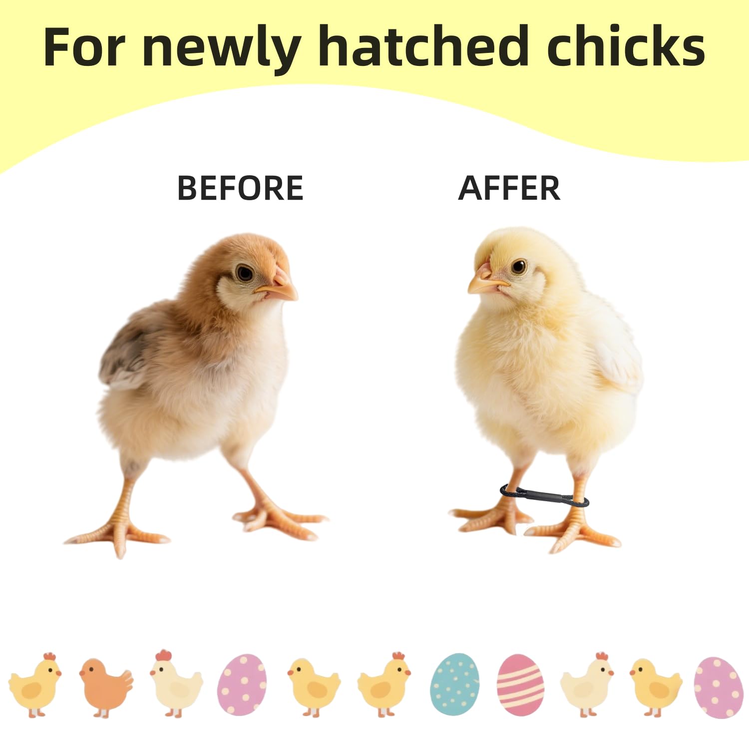 Spraddle Chicken Leg 12Psc Baby Chick Splay Leg Hobble Brace, Baby Chick Leg ...