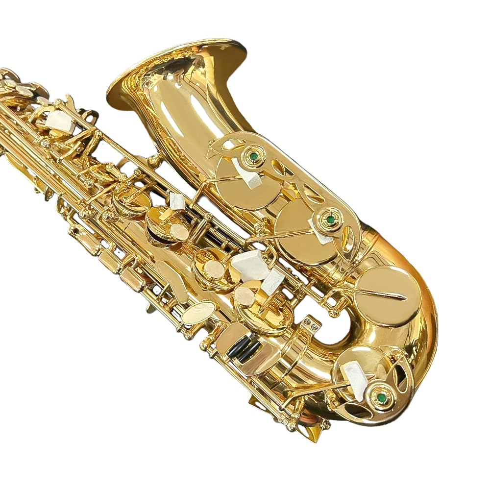 Sassofono contralto E Flat per adulti studenti Sax Mib Alto Kit completo con custodia per sax per il trasporto Bocchino cinghie ance sassofono kit per principianti