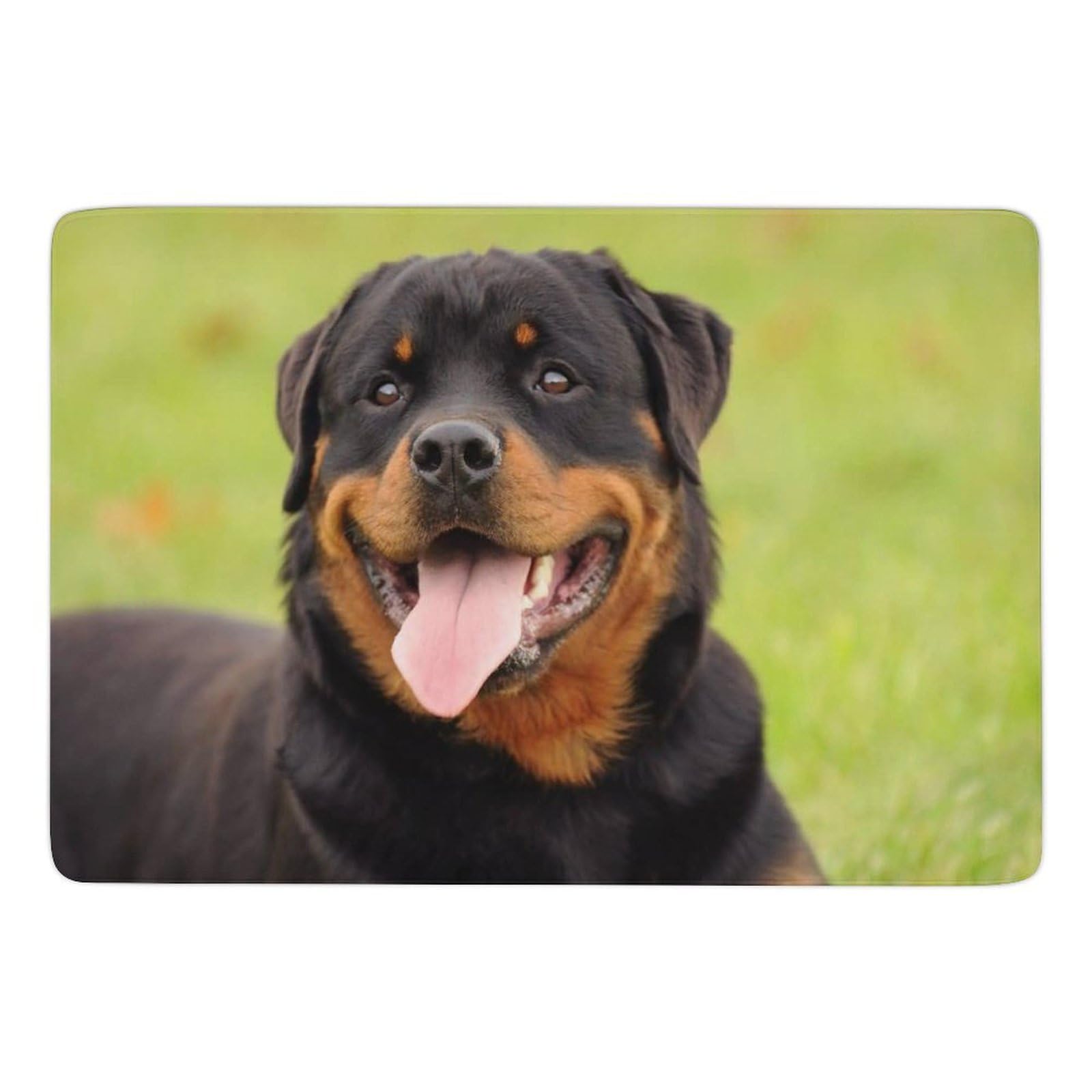 Tapis de sol Rottweiler en velours absorbant pour réchauffer le salon ou la chambre