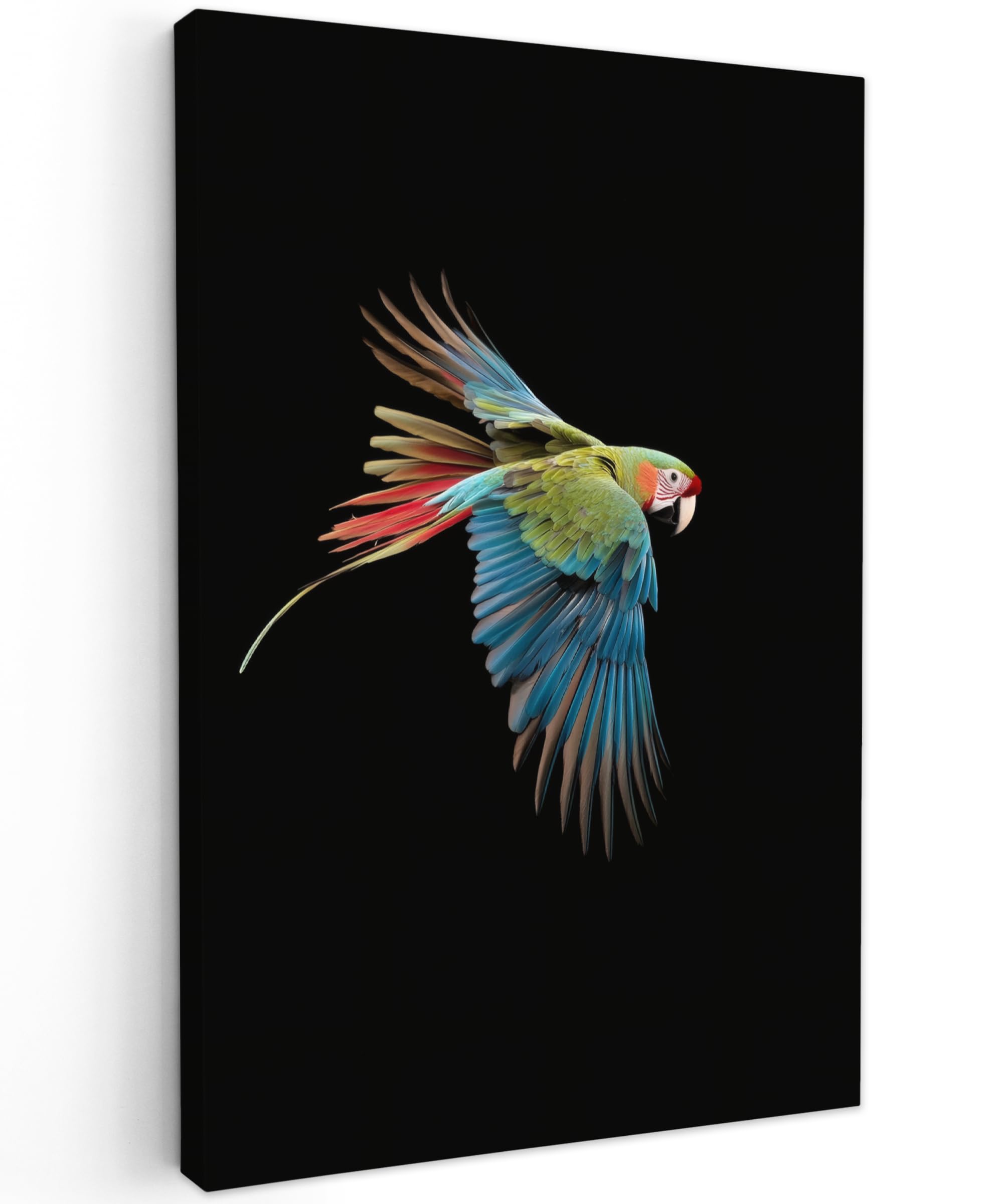 MuchoWow© Canvas Wall Art 24"x35" / 60x90 cm Decor Hanging Pictures for Living Room Canvus Artwork Deco Walls Parrot - Colorful - Wings - Graceful
