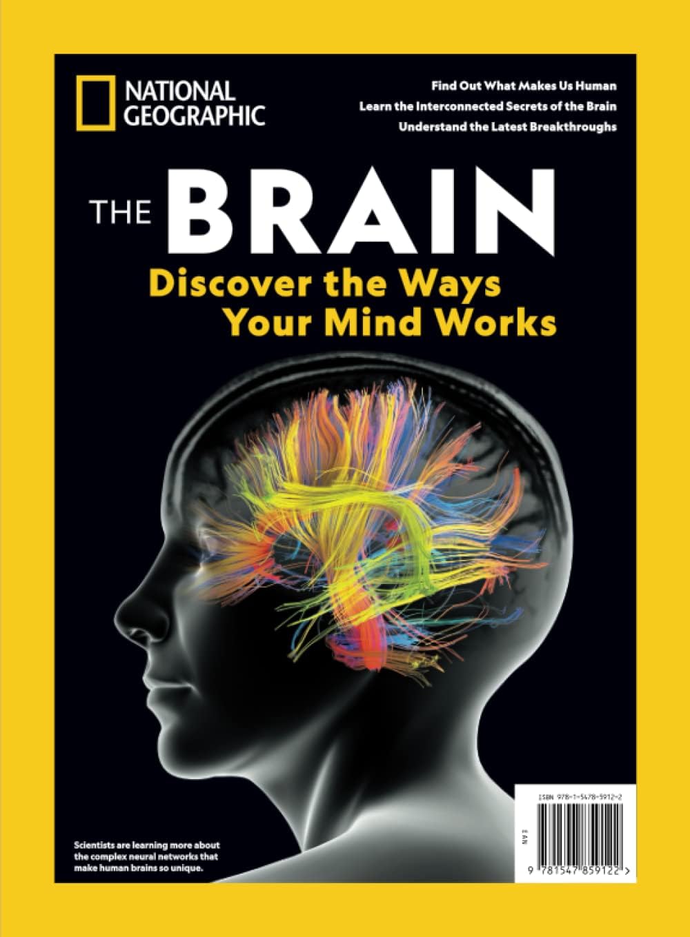 National Geographic The Brain