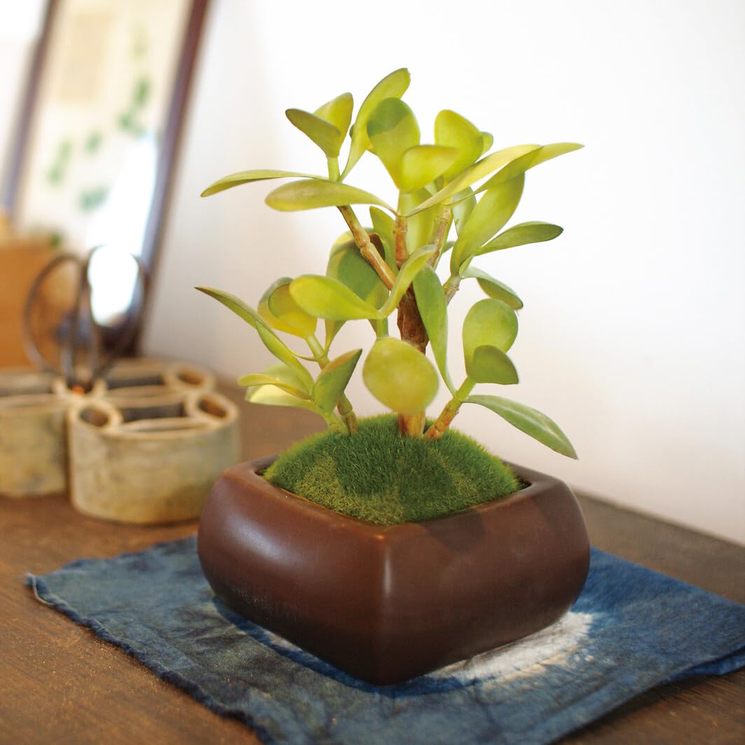 盆栽 『サンザシ 石付き』 石 インテリア 観葉植物 園芸 送料